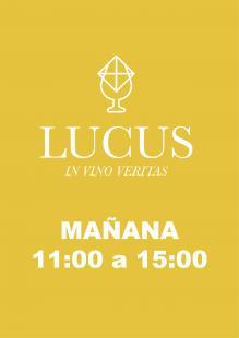 Lucus in Vino Veritas 2022 (Mañana)